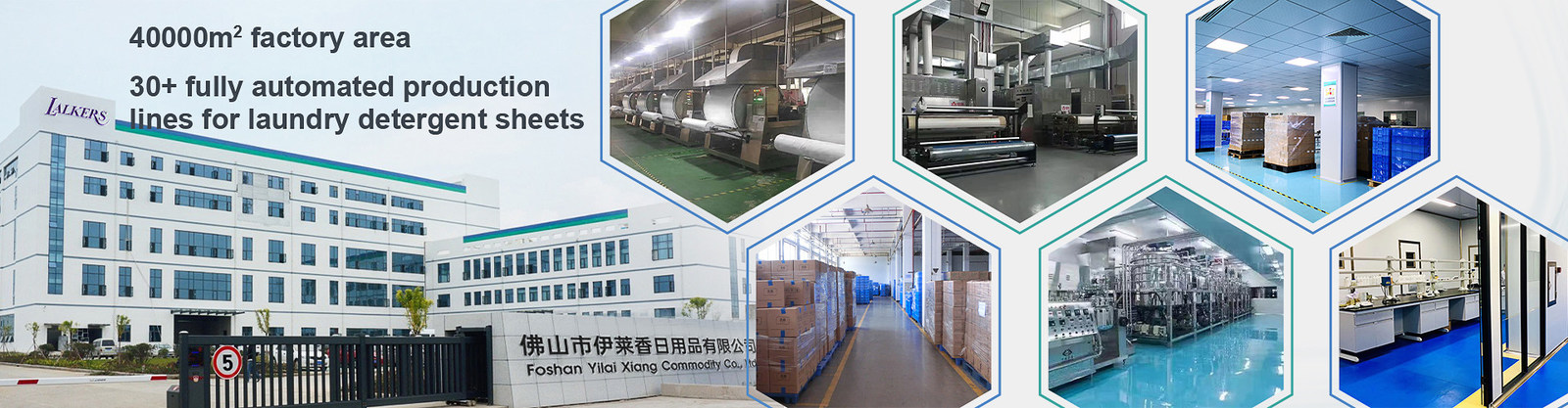 Laundry Detergent Sheets