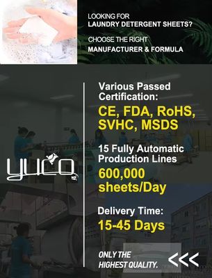 Customized Shampoo And Conditioner Tablets Portable And Lightweight For Travel