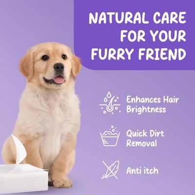 Eco Friendly Pet Clean Sheet Harmless Gentle Biodegradable Customizable