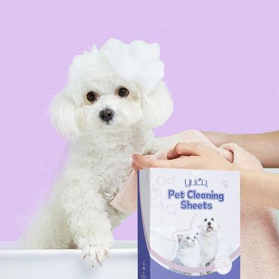 Eco Friendly Pet Clean Sheet Harmless Gentle Biodegradable Customizable