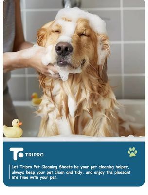 Private Label Eco Friendly Pet Hair Laundry Sheets Concentrated For Dog And Cat