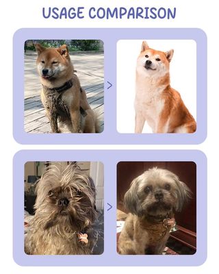 Soft Touch Pet Hair Laundry Sheets Fragrant Bathroom Body Wash Sheets For Dogs