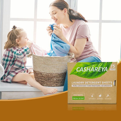 딥 디컨타미네이션 세탁 세제 시트 개인 상표 일회용 세탁 시트